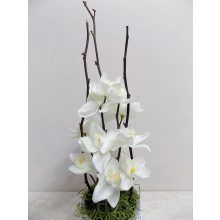 Aszatldísz fehér nárciszokkal. ∅:11x43 cm