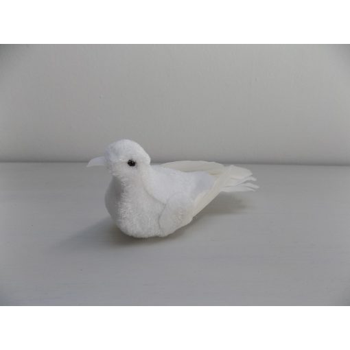 fehér galamb tollal 12,5x5 +