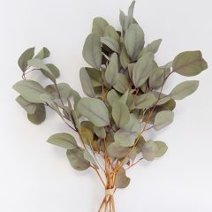 Eukaliptusz csokor, impregnált. 30x25cm