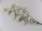 Selyemvirág ág,  fehér sokvirágú 50-90  (k1)