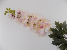 Selyemvirág, rózsaszín szarkaláb 44-87   (k1)