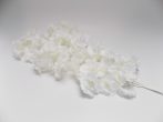 Nagy selyemvirág ág,  fehér sokvirágú 47-105  (k1)