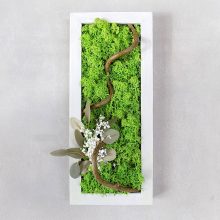 Mohakép, fehér keretben 33 x14 x 2,5 cm